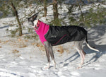 Load image into Gallery viewer, Great White North - Wintermantel | Windhunde, schmale Rassen
