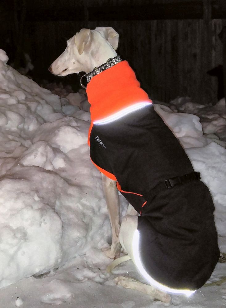 Great White North - Wintermantel | Windhunde, schmale Rassen