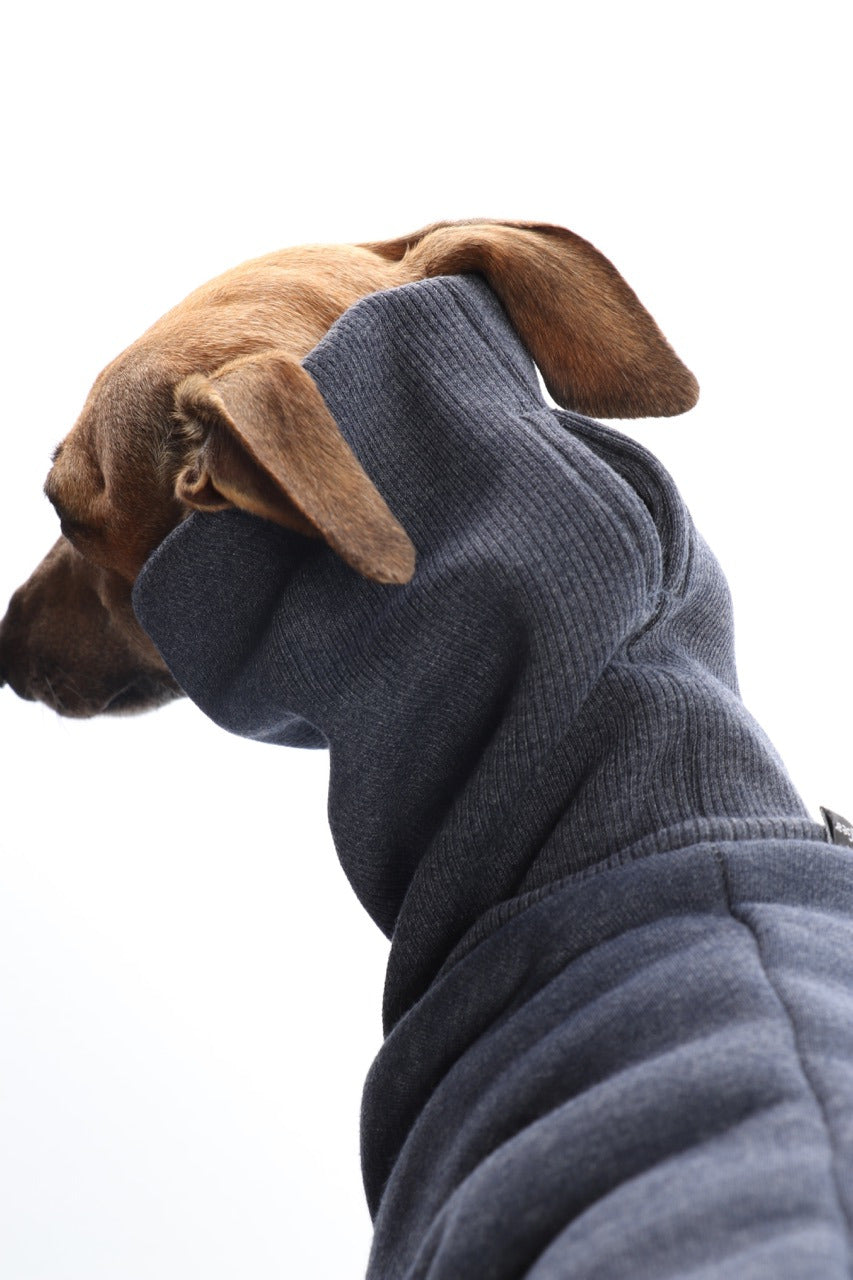 Winter Sweatshirt | Windhunde und schmale Rassen