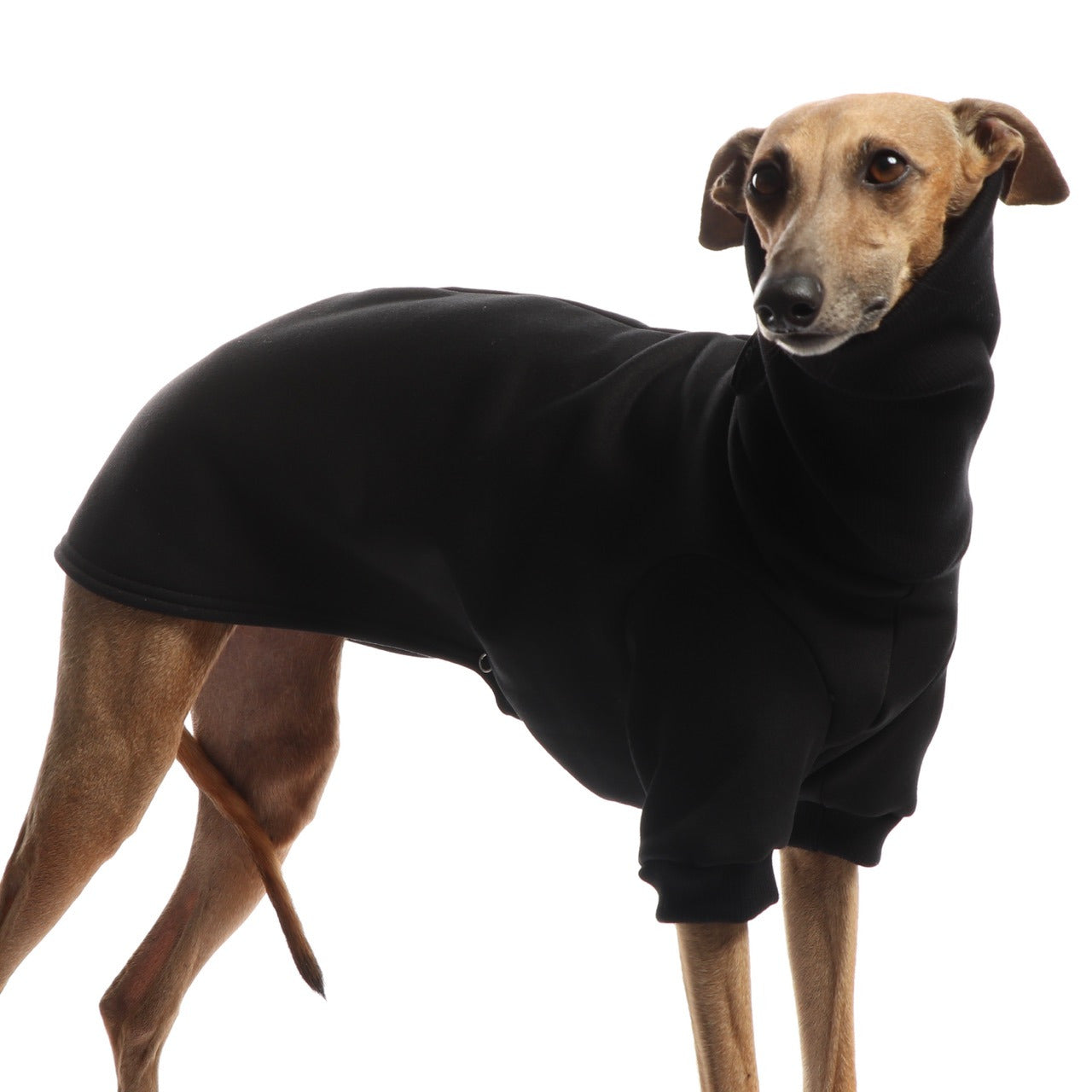 Winter Sweatshirt | Windhunde und schmale Rassen