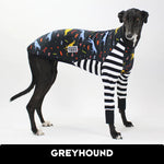 Laden Sie das Bild in den Galerie-Viewer, Mulga Zoomie Party Greyhound Hound-Tee
