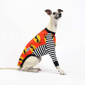 Richard Zoomies Whippet Hound-Tee
